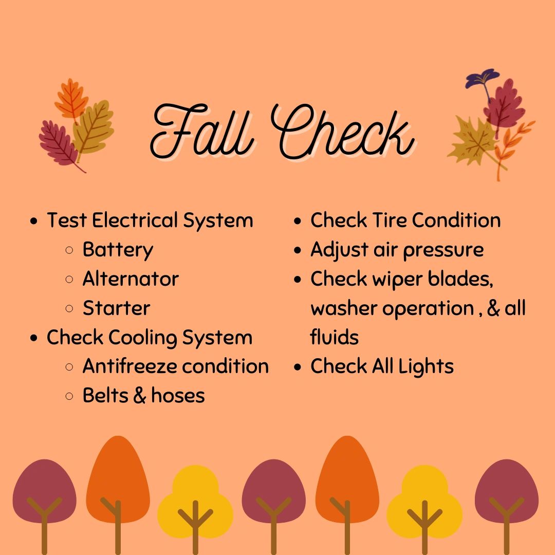 Fall Check