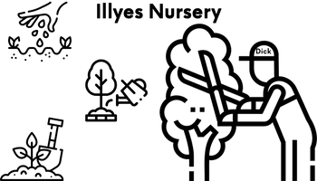 Illyes Nursery