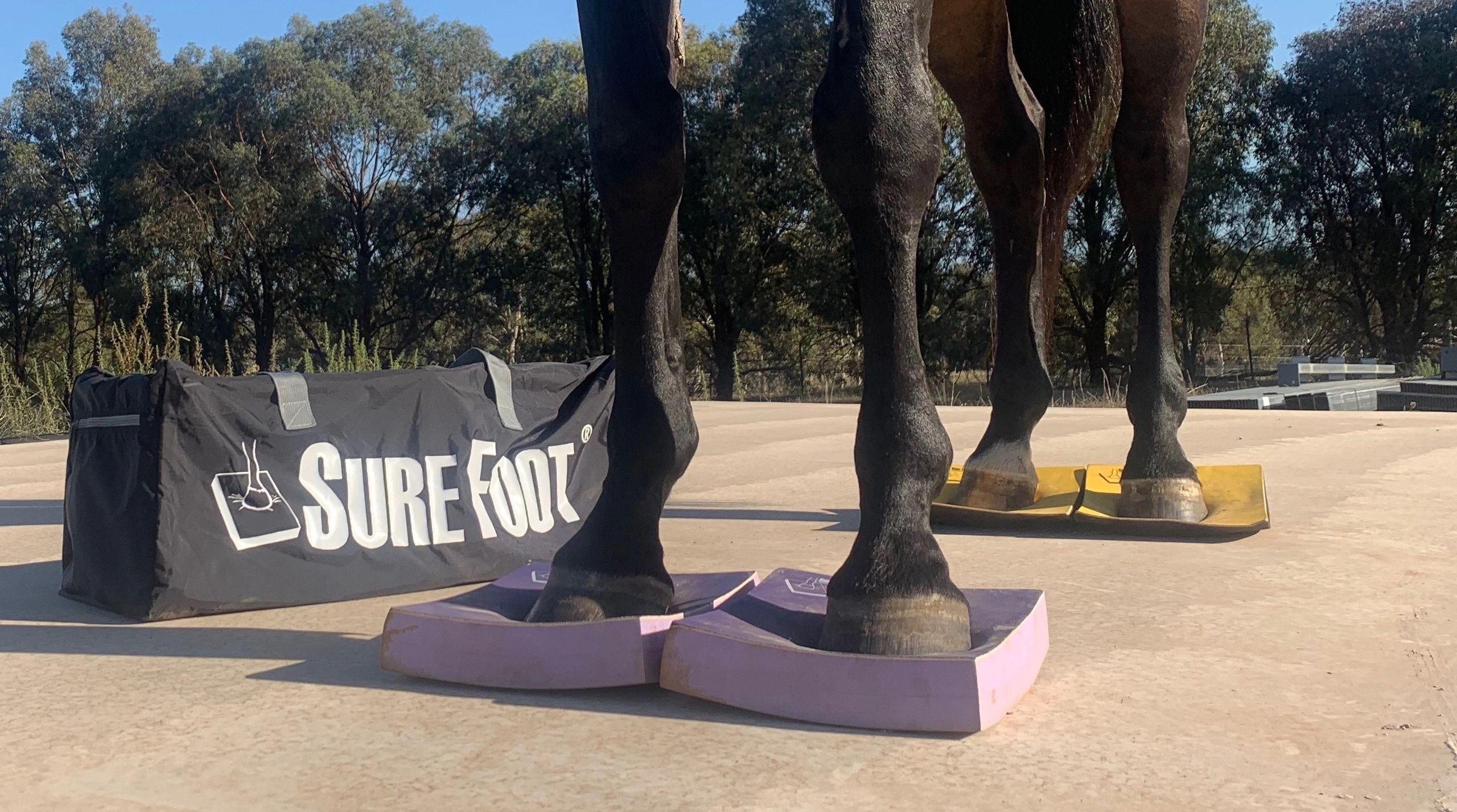 Sure Foot Equine Stability Pads Sure Foot Pads Australia