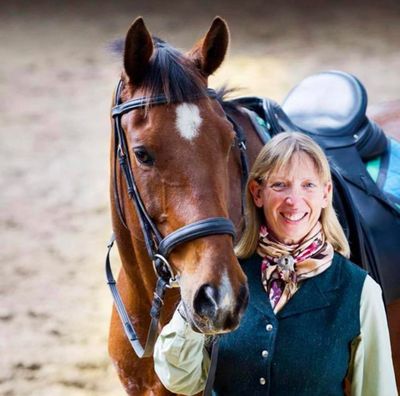 SURE FOOT Pads are an essential tool in equine rehabilitation or conditioning.