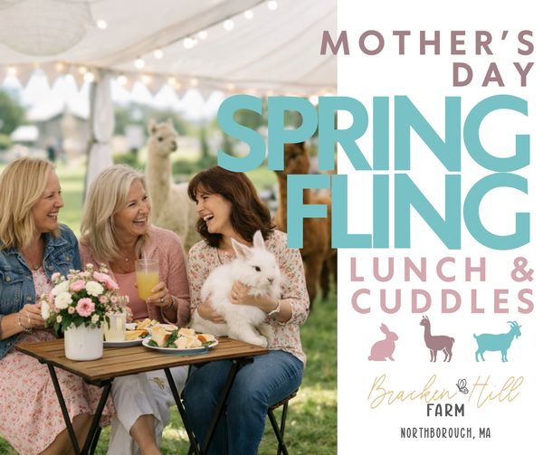 Three women enjoying Mother's Day Spring Fling with animals at Bracken Hill Farm.