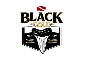 Black Gold is a Venice Florida Scuba Diving Charter for hunting fossils and Shark teeth