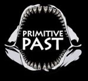 primitive past shark teeth venice florida