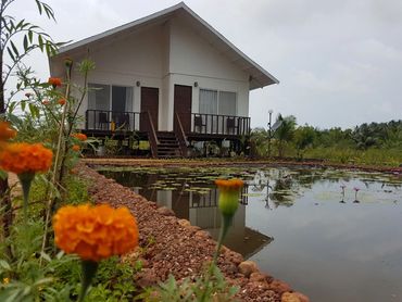 Villa filled with luscious flowers