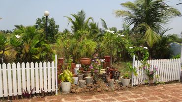 Flower pots with beautiful flowers
