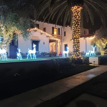 House decorated with glowing reindeer and string lights for Christmas.