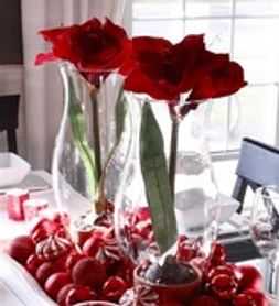 Holiday table decor