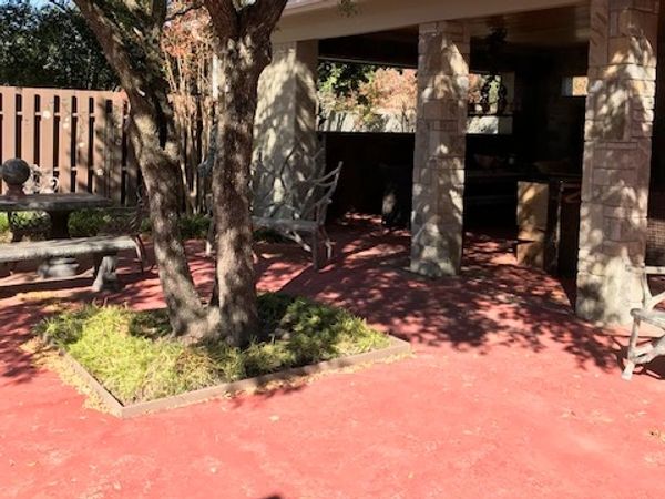 Patio area with tree and benches in sunlight.