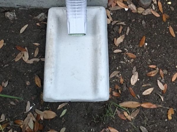 Rectangular white plastic tray on soil with dry leaves.