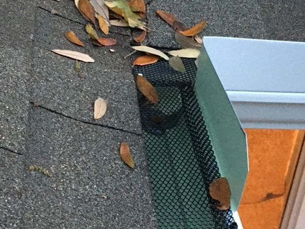 Leaves caught in a roof gutter and mesh guard.