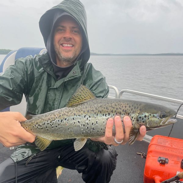 Maine Guide Outfitter client lands a landlocked salmon during an open water fishing trip in Maine. 