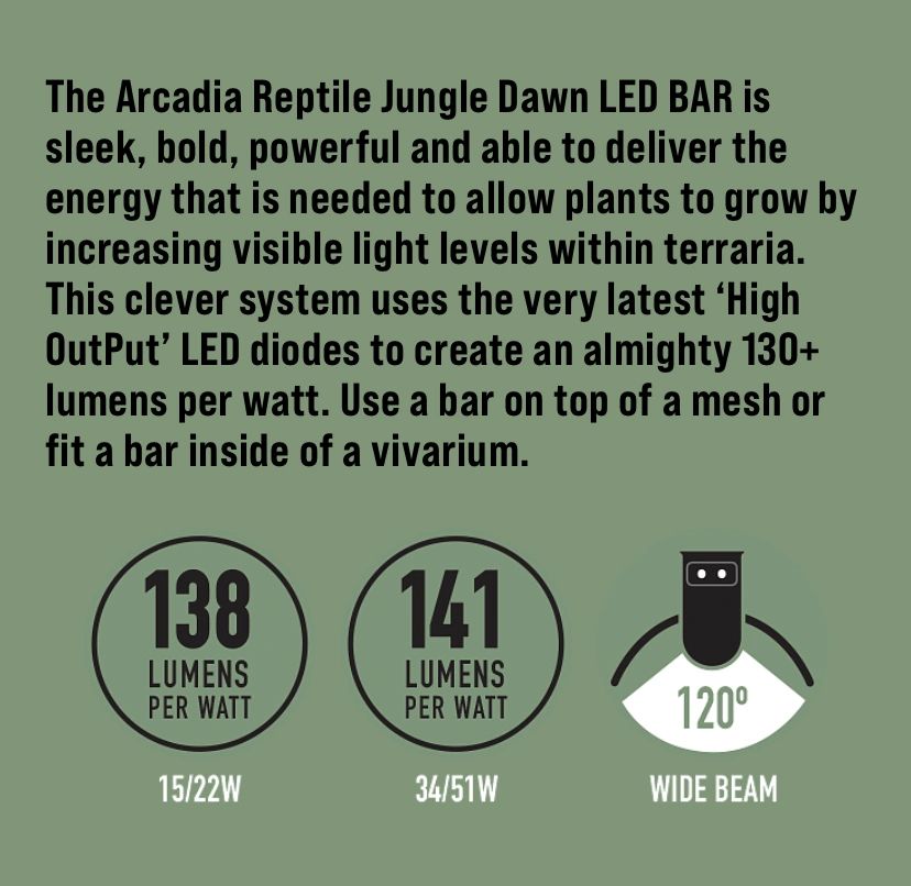 jungle dawn led bar 51w