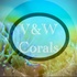 VW Corals