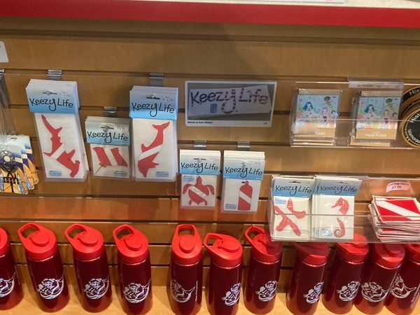 Keezy Life Dive decals