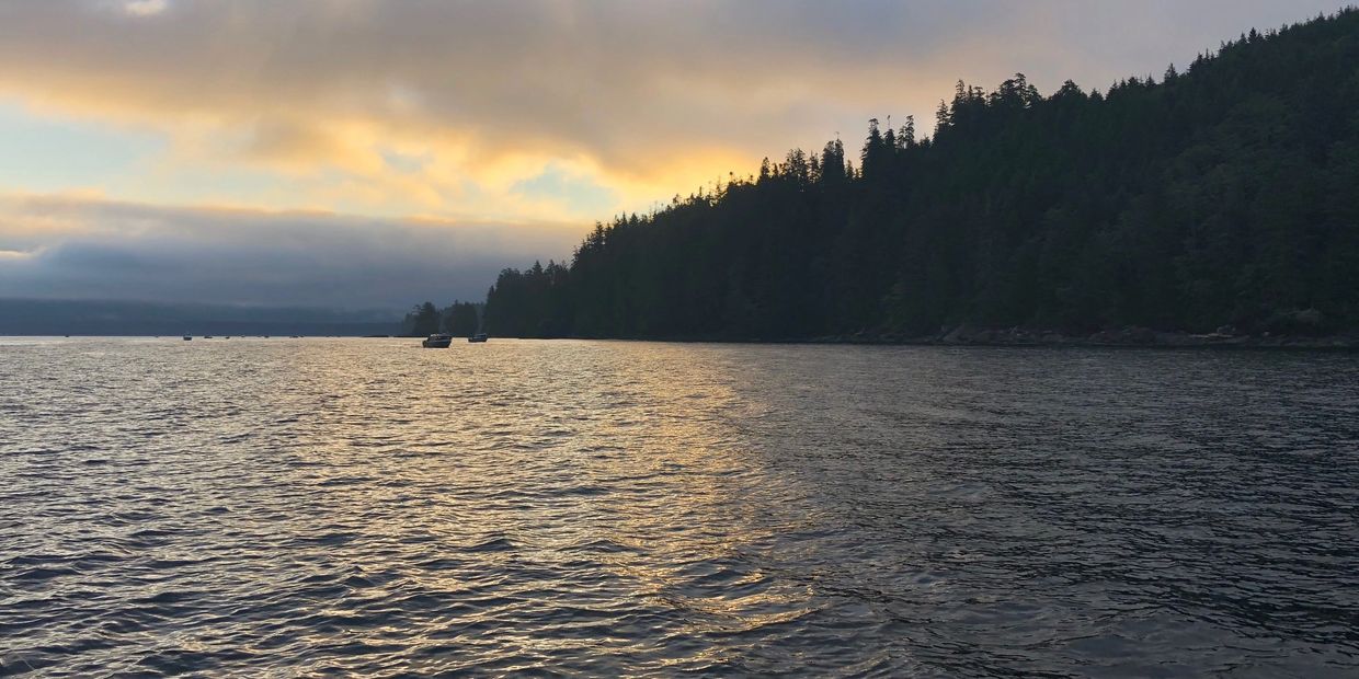 Off Shore Fishing for Salmon