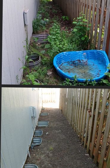 Narrow side yard transformed from overgrown weeds to clean and tidy space.