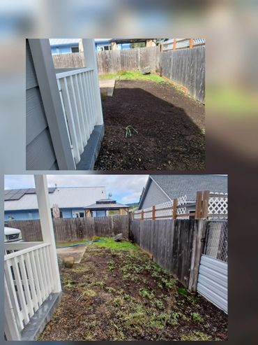 Before and after photos of a backyard garden area with soil and some greenery.