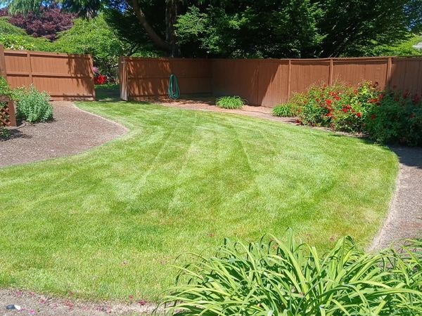 Freshly striped residential lawncare in mcminnville 