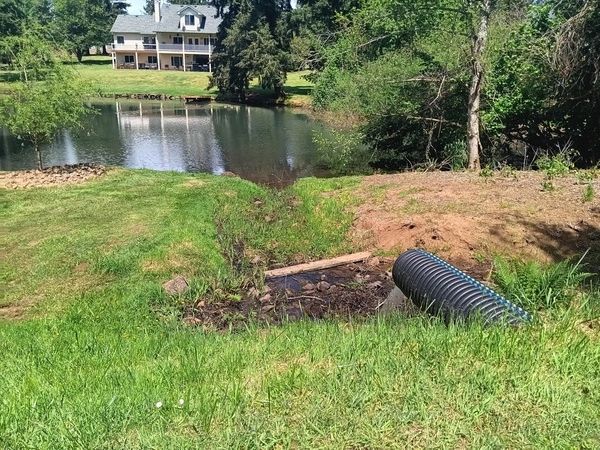 Large estate pond care by h&m top notch landscaping