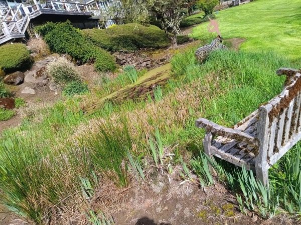 High end residential pond and landscape grounds care. 