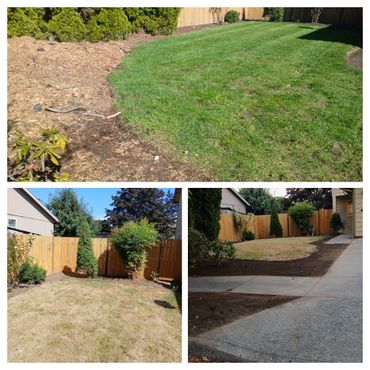 Three images showing a backyard lawn before and after renovation with fresh green grass and new soil beds.
