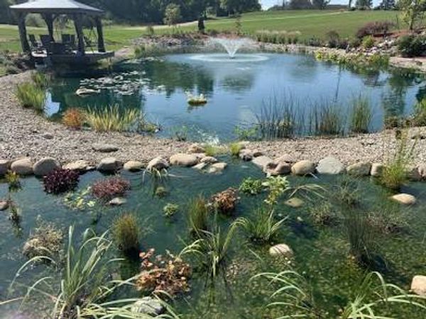 Wetland Bog Filter and Aerator in a large pond