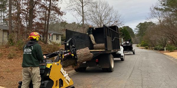 Tree worker is carrying logs into truck and removing debris