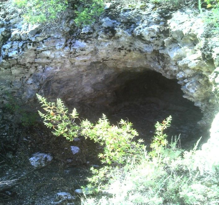 Natural rocky cave entrance surrounded by greenery.