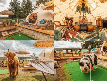 A luxurious glamping site with tents, mini golf, and animals including a pig and a cow.