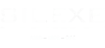SILEXE - Maîtrise d'oeuvre et direction de projets