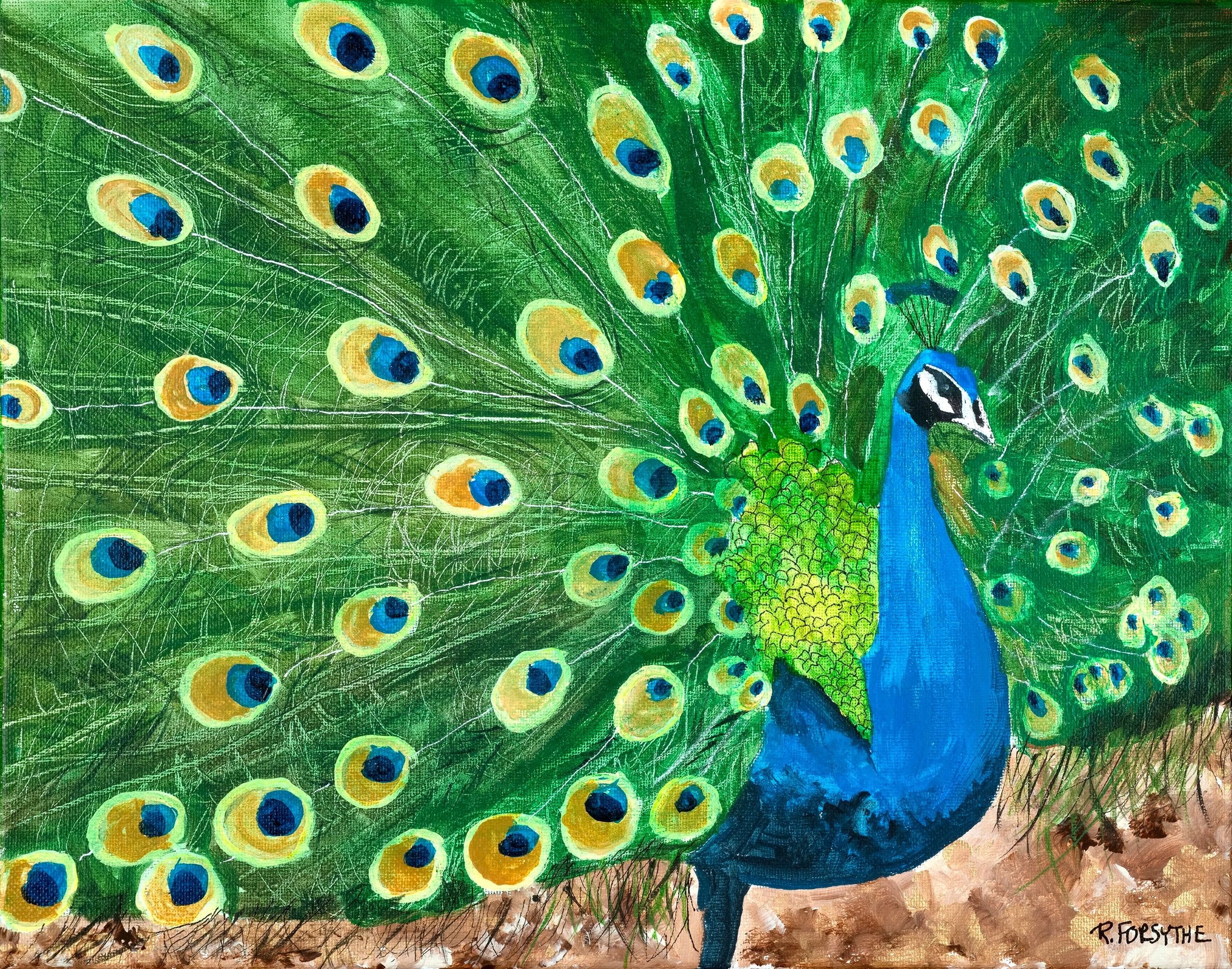peacock in full feather
