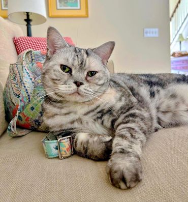 Lucy from Bridge Park