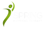 Spring Physical Therapy