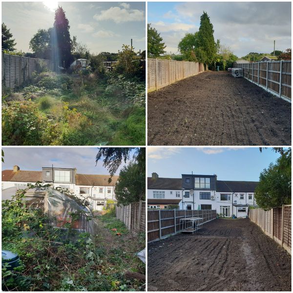 Garden clearance collage