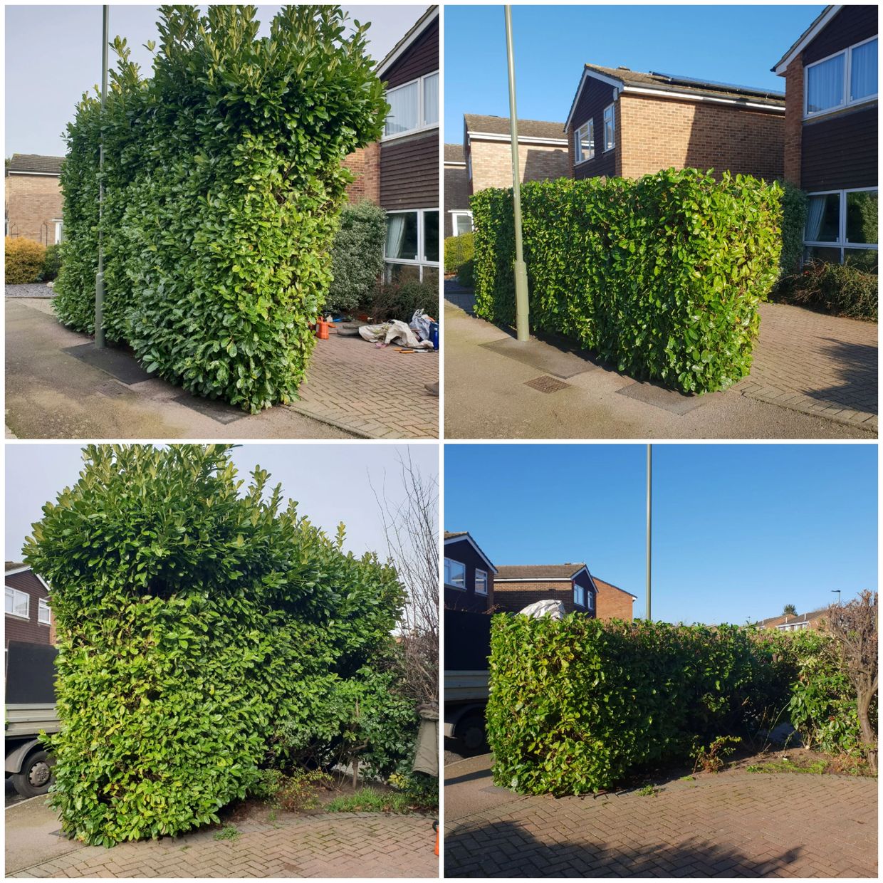 Hedge reduction and trimming collage