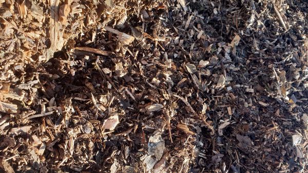 Wood chip mulch close up
