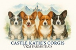 Katie's Corgis - VKM FARMSTEAD