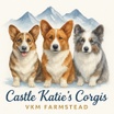 Katie's Corgis - VKM FARMSTEAD