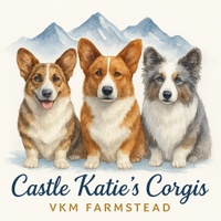 Katie's Corgis - VKM FARMSTEAD