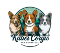 Katie's Corgis - VKM FARMSTEAD