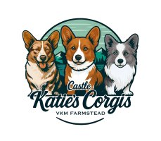Katie's Corgis - VKM FARMSTEAD