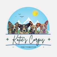 Katie's Corgis - VKM FARMSTEAD