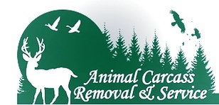Animal Carcass Removal