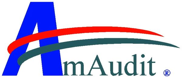 Logo with a large blue 'A' and 'mAudit' text, featuring red and green swooshes.