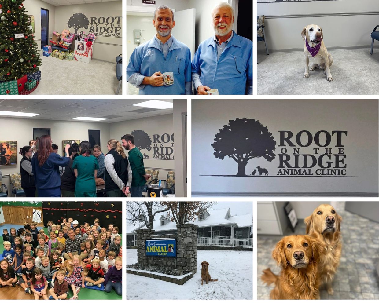 Various scenes from Root on the Ridge Animal Clinic, including staff, pets, and community events.