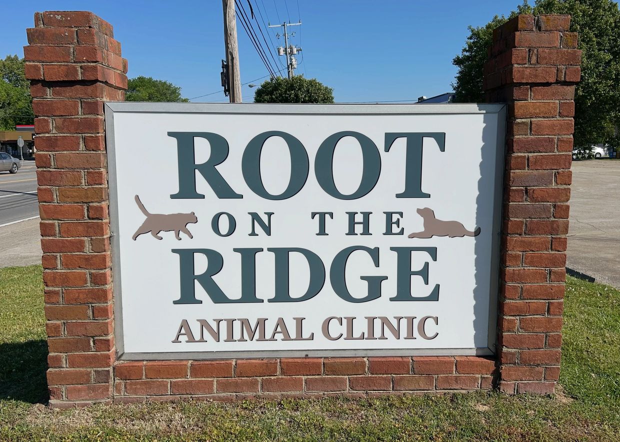 Sign for Root on the Ridge Animal Clinic with cat silhouettes.