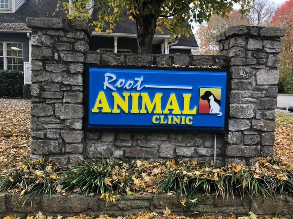 Stone sign for Root Animal Clinic with dog and cat silhouette.