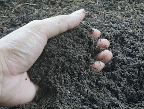 Topsoil
Sand Topsoil Mix
Compost
Garden Soil
60/40  Sand Compost
Plant Growth
Organic
Planting Soil
