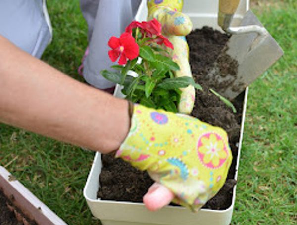 Container Soil
Lightweight Soil Mix
Nursery Mix
Garden Soil
Organic
Potting Soil
Planting Soil
