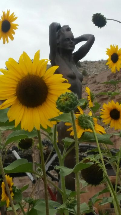 Sunflower Goddess